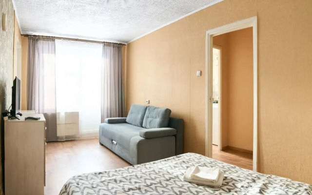 Odnokomnatnyye Passazhir 2 Apartments