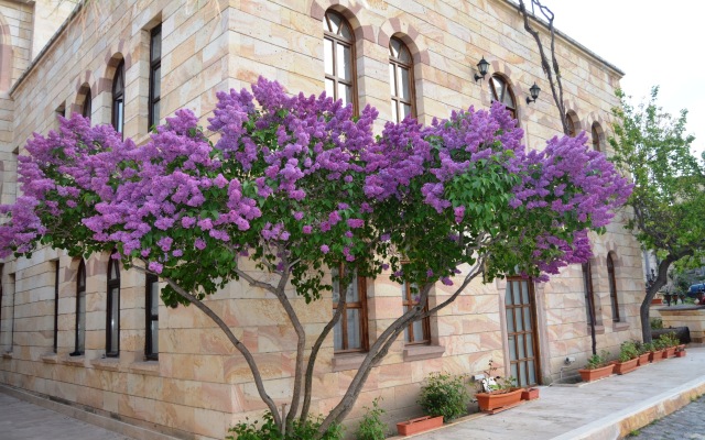 Akuzun Stone Hotel