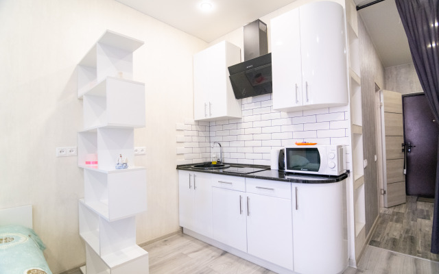 Stylish Studio in Novostroe Apartments