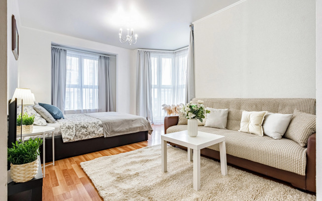 Semeynyye DoMino na Krasnoy Apartments