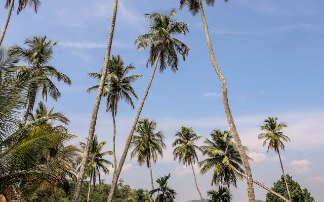 The Flame Tree Estate&Hotel