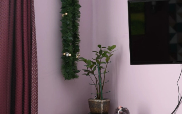 Apartamenty Standartnye Bestflat24 Vladykino Studio1