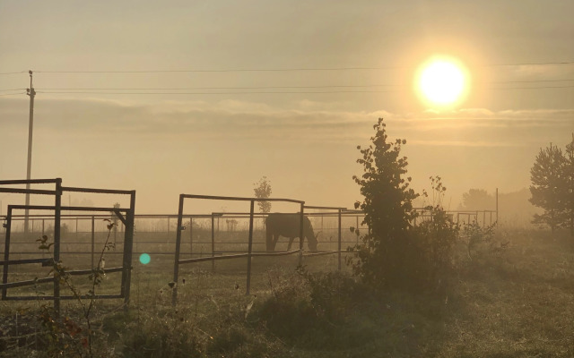 Гостевой дом Первая лошадь
