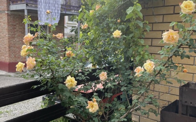 Kurortny Domik U Mashuka Guest House