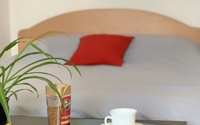 Квартира на Каменской Улице 103