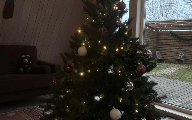 Частный дом ЭКО-дом Доволити