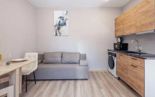 Uyutnaya Studiya Flat