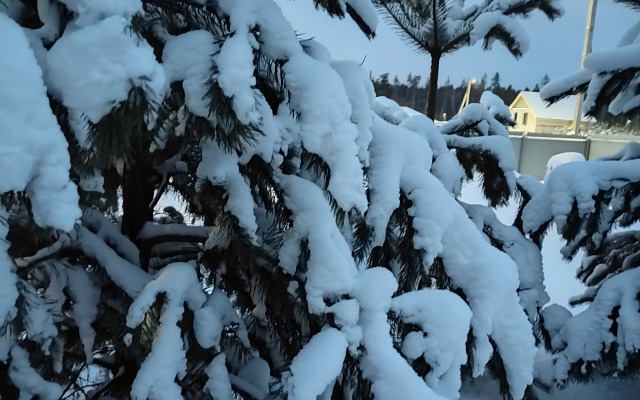 Шале Evropa Dream