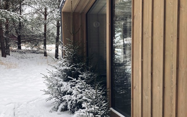 101 V Sosnakh Guest house