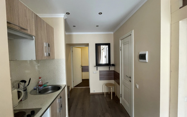 Апартаменты на Гражданской 9 (12)