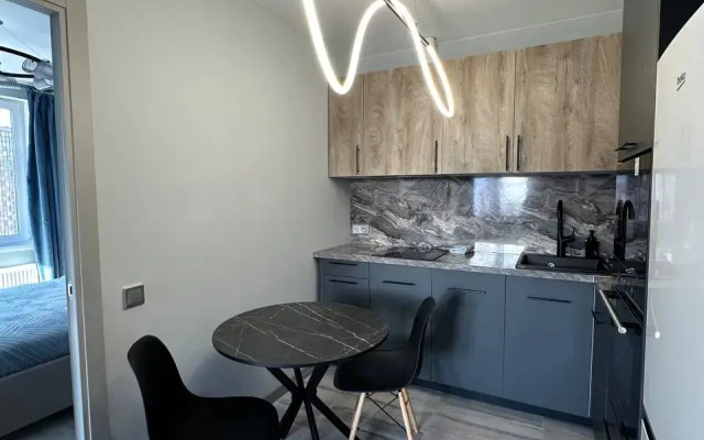 Sovremennaya Na Novgorodskom 2k3 Flat