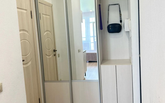 Квартира Просторы Невы