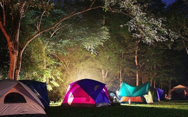 Zara Camping