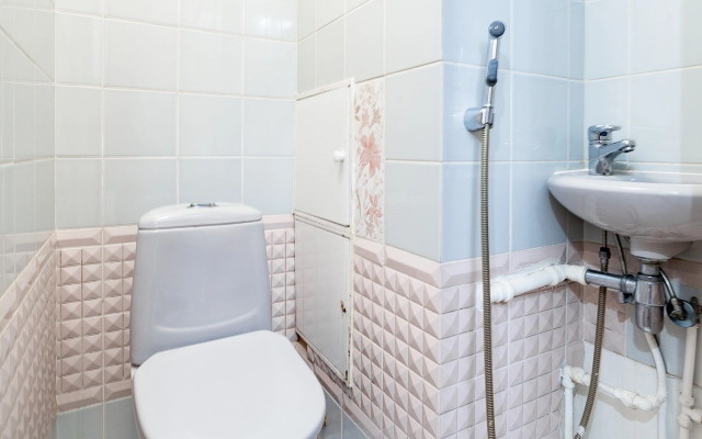 Апартаменты 3 спальни 2 санузла Грибоедов 10 гостей