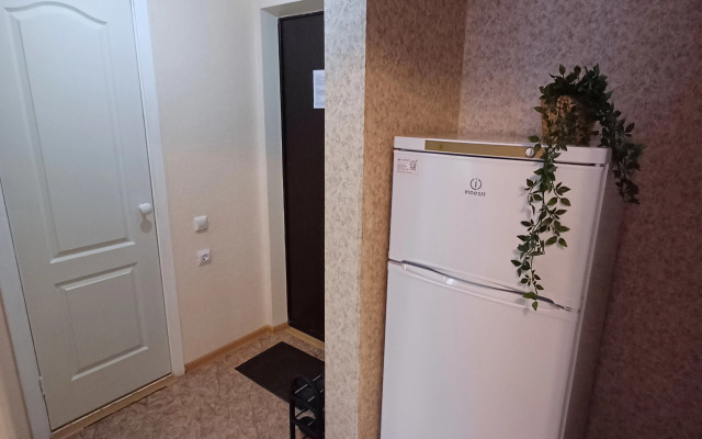 Апартаменты Чайка House Бурнаковская 77