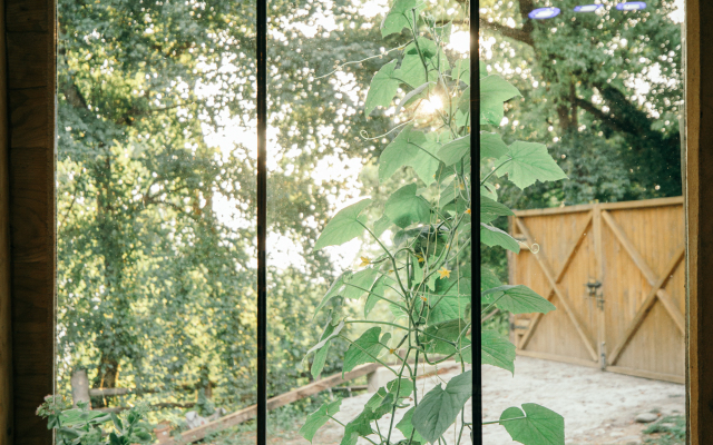 Wine Space Glamping