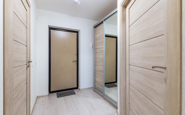 Апартаменты DreamHouse у аэропорта Кольцово