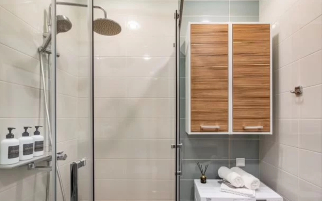 Your Apart v Pushkine Flat