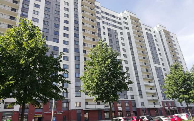 Deluxe U Lahtinskogo Razliva Apartments