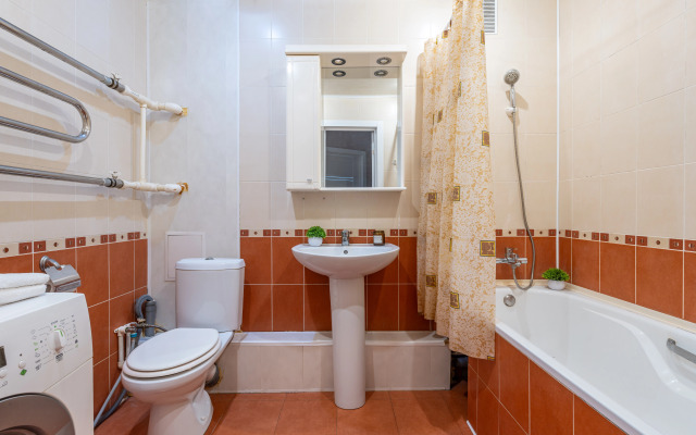 Sunrental Na Mironova (temernik) Apartments