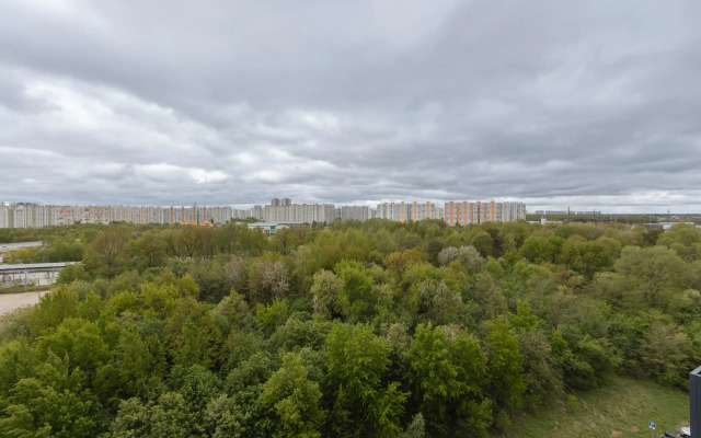 Queenstay the Sad Ryadom na Pyatnitskom Shosse Apartments