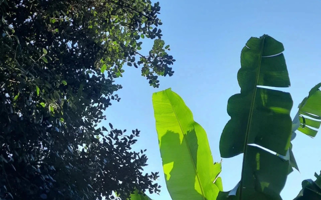 Гостевой дом Эвкалипт