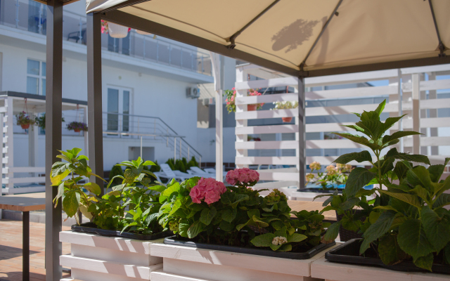 Отель Морская Ракушка