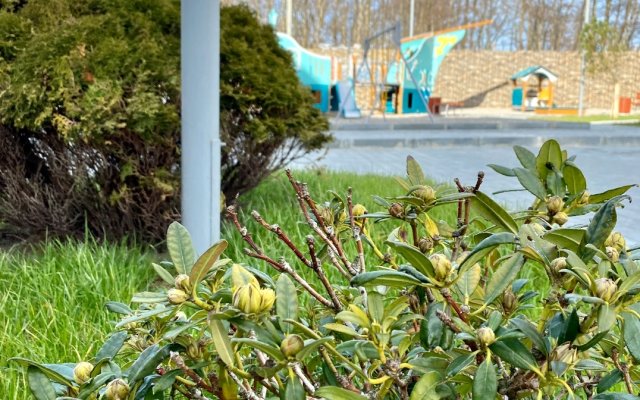 Апартаменты У моря