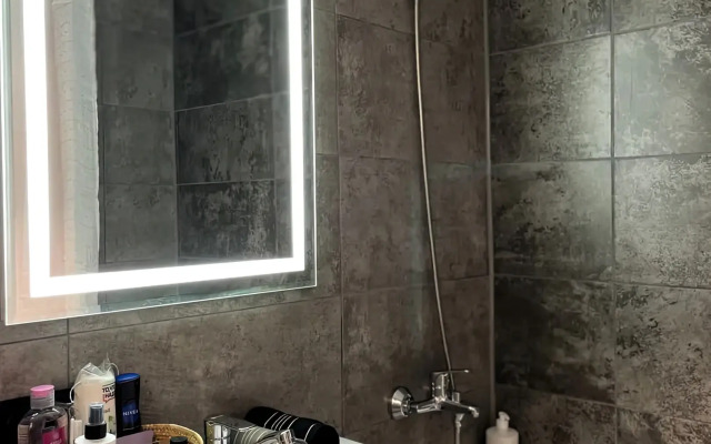 Апартаменты в Центре Города с Новым Ремонтом