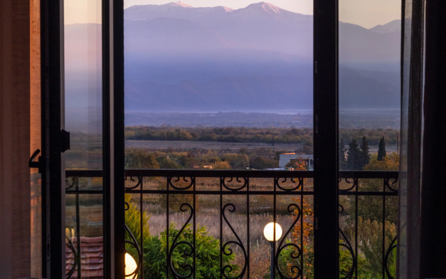 Отель Panorama Kakheti Resort