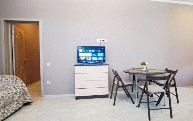 Uyutnaya V Kurortnom Gorodke Flat