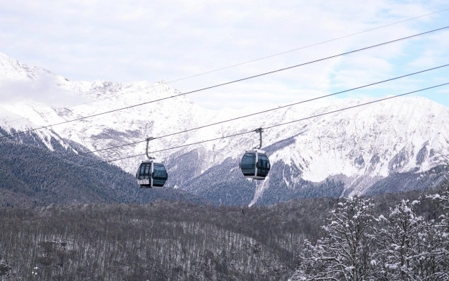 Глэмпинг Эндемик