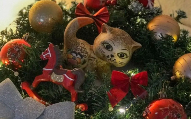 Квартира с прекрасным видом на реку Волхов