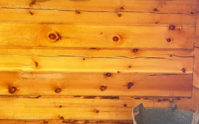 База отдыха Altai Geyser Lake