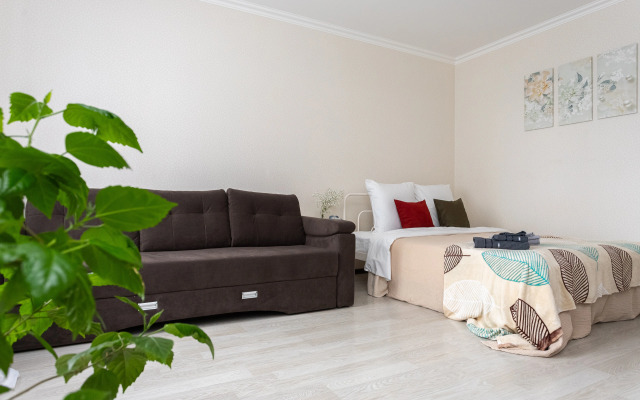 Квартира в Центральном районе