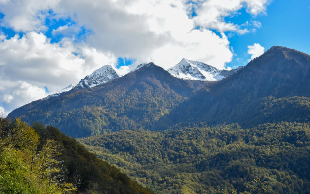 Гостевой Дом Арт Ковчег