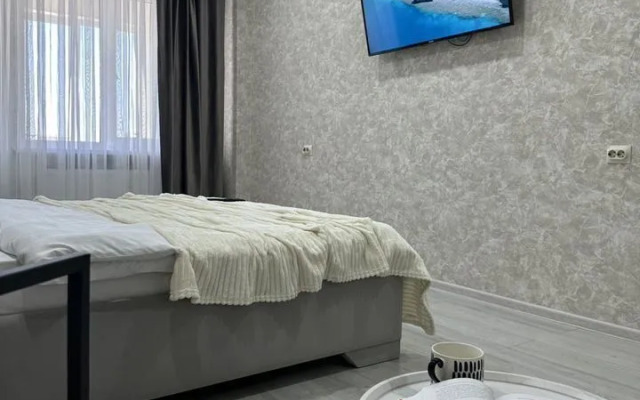 Квартира на Пионерской 530 (531)