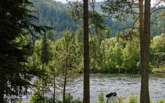 Relax Teletskoye Recreation camp