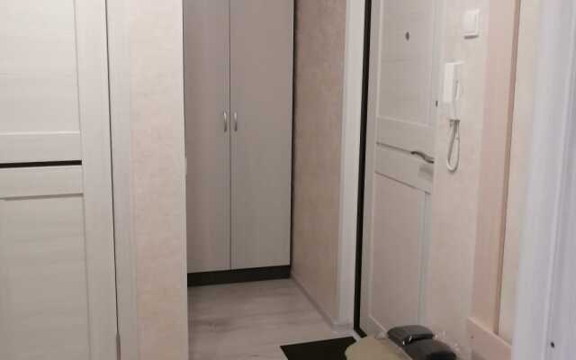 Апартаменты на Толстого 2