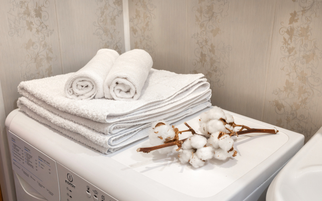 Апартаменты Гривцова 3