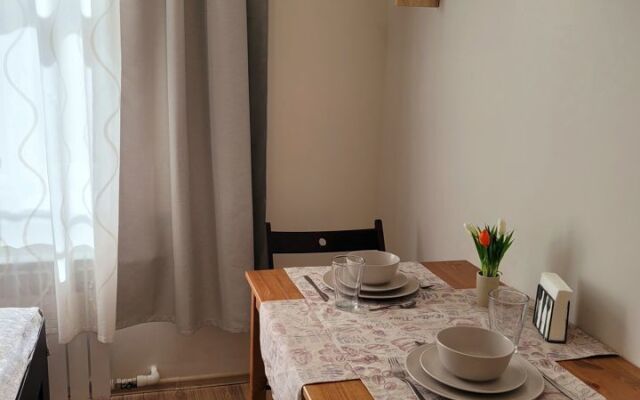 Квартира - студия в иcтoричeскoм цeнтре Санкт-Пeтеpбургa (1)