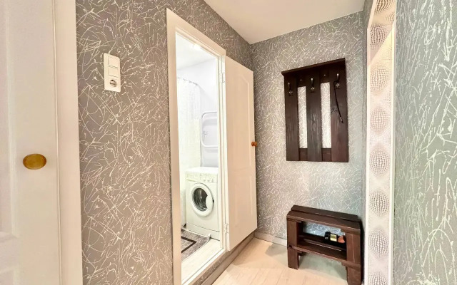 Апартаменты на Алексеева 111-308