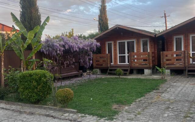Viktoriya Private House