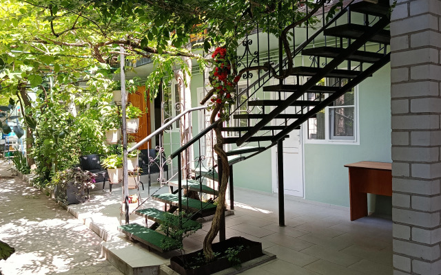 Na Tolstogo 30/1 Guest House