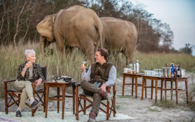 Кемпинг Tigertops Elephant Camp