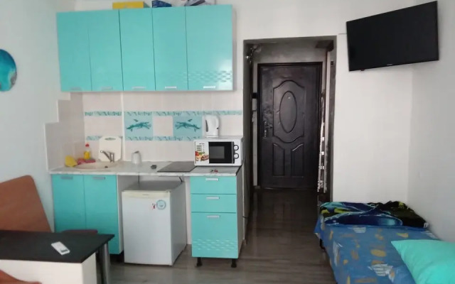 Апартаменты с выходом на свой пляж