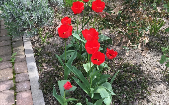 Гостевой Дом Потап и Настя