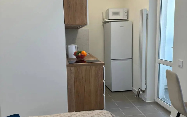 Studiya V Zhzh Prokshino Flat