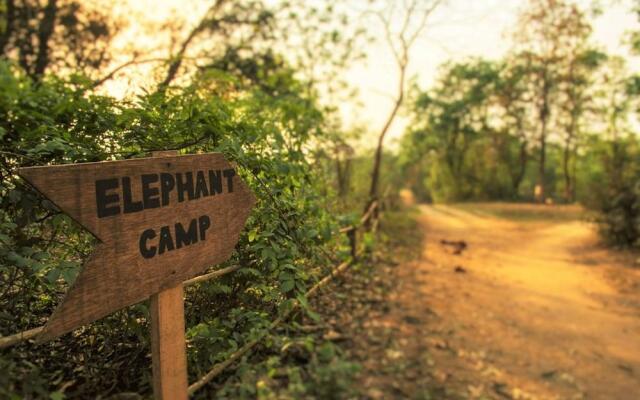 Tigertops Elephant Camp Camping