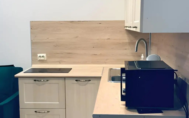 Апартаменты Стильная студия у метро Горки